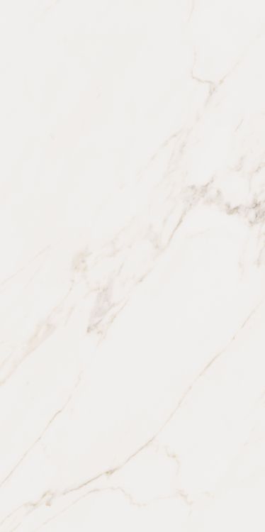 Omnia Calacatta Matte 24 x 48